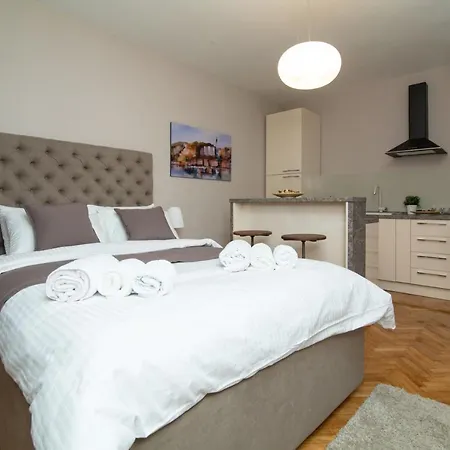 Apartment Vracar Vuk 2
